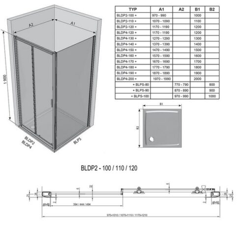 Душевая дверь Ravak Blix BLDP2-100 белый+стекло Графит