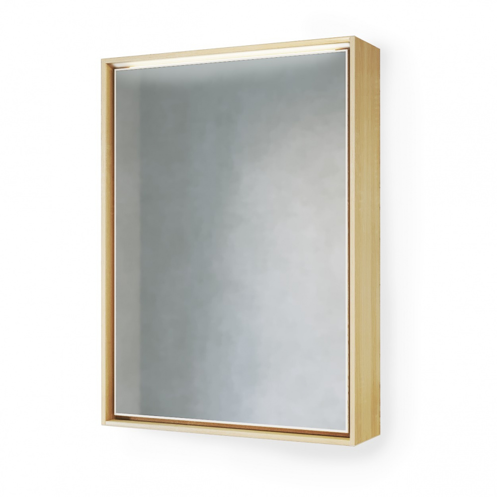 Зеркало-шкаф Frame 60 Дуб сонома с подсветкой, розеткой Fra.03.60/W-DS